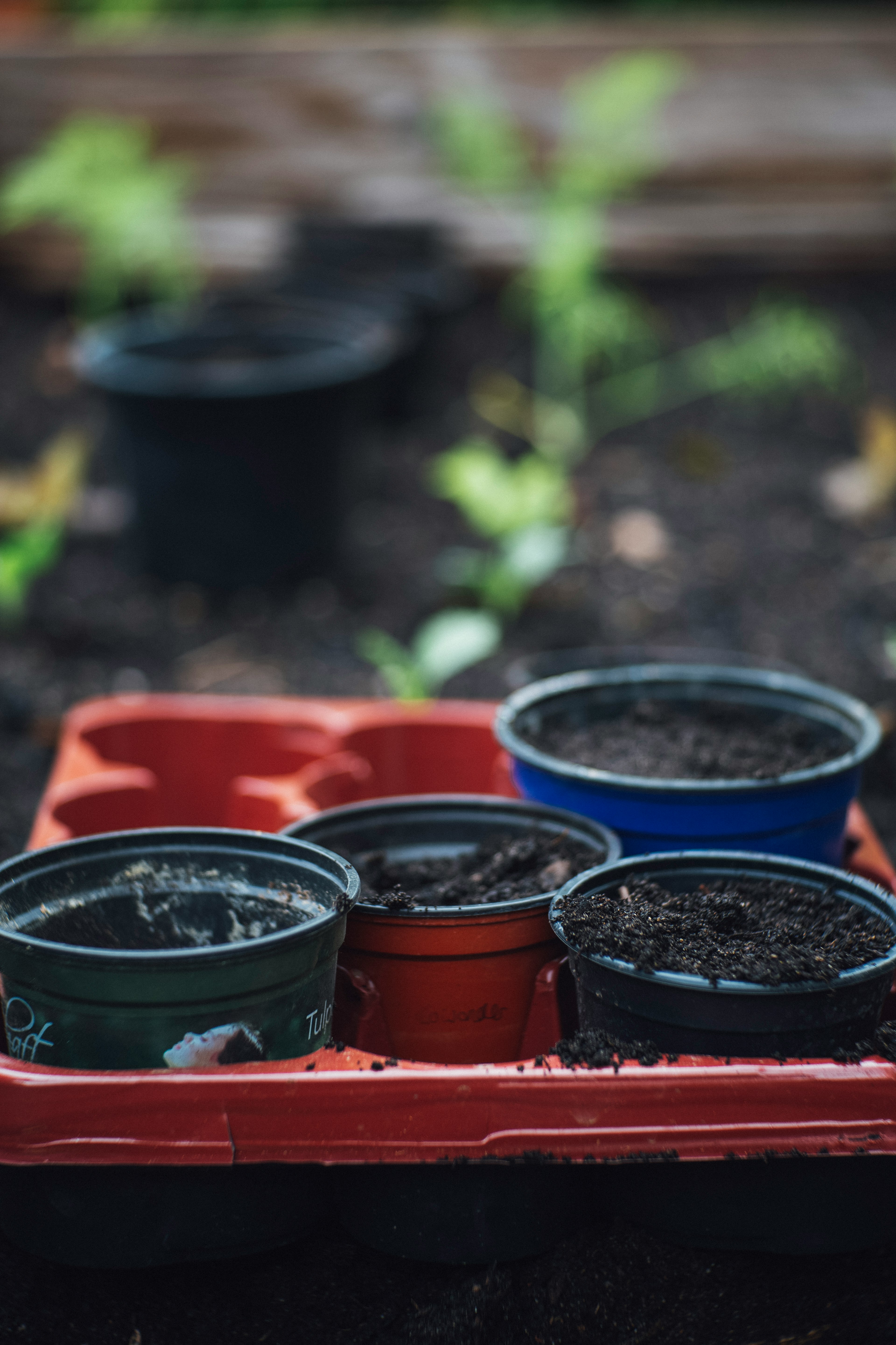 four plant pots